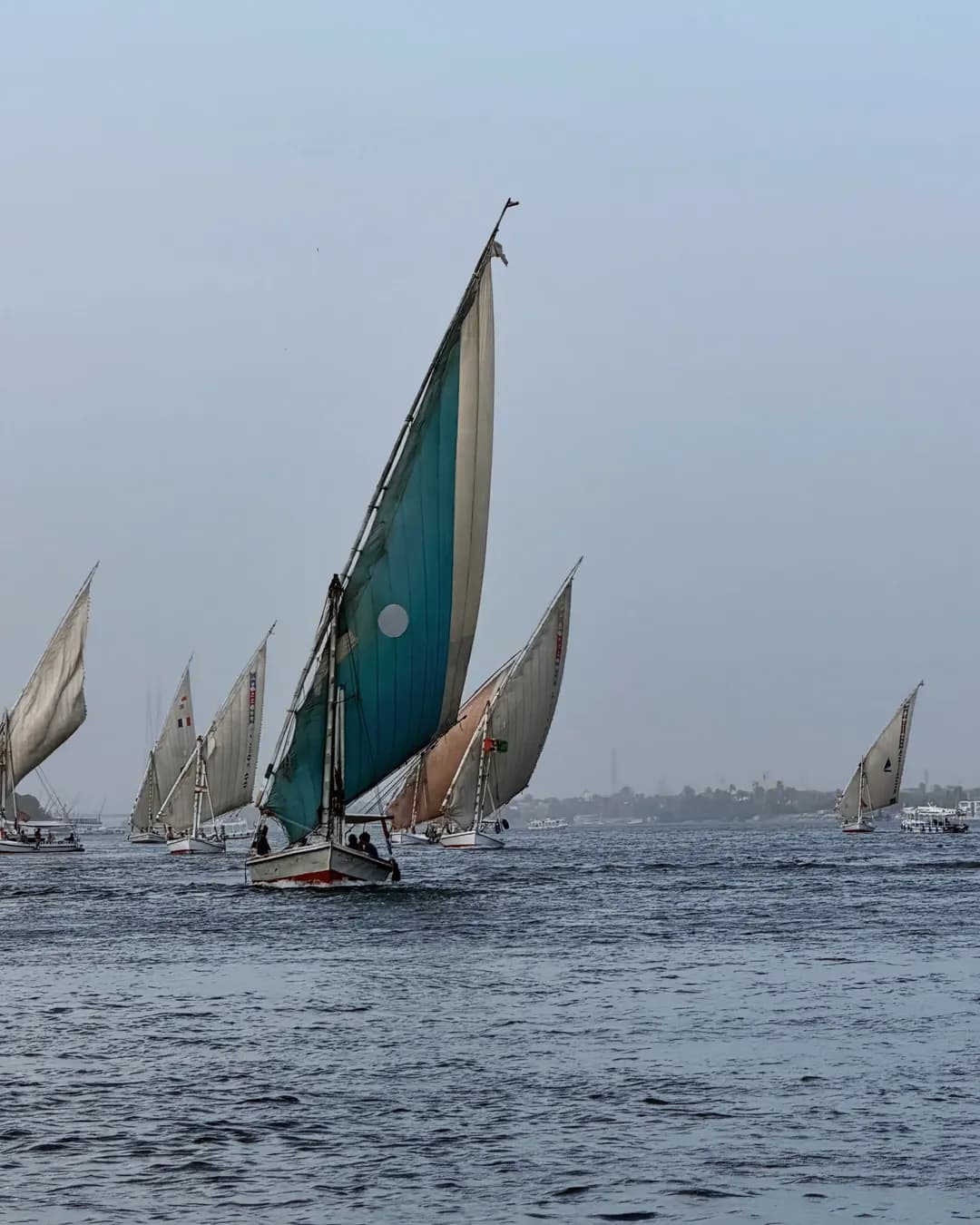 Felouques toutes voiles dehors sur le Nil